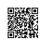 Y16241K20000T9R QRCode