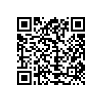 Y16252K80000B24R QRCode