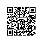 Y162830K0000T9W QRCode