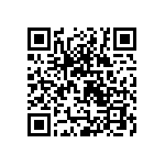 Y16291K05000T9R QRCode