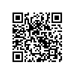 Y16306K20000T9W QRCode