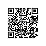 Y16331K10000T9W QRCode