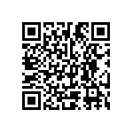 Y16333K90000T9R QRCode