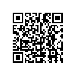 Y16333K91000T0W QRCode