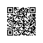 Y1691V0004TT0L QRCode