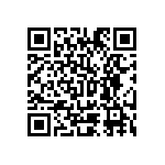 Y17451K20000T0L QRCode