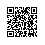 Y17451K38290Q0L QRCode