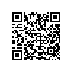 Y17491K50000B9L QRCode