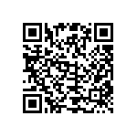 Y402795K3000T9W QRCode