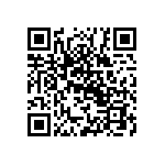 Y4078175R840V9L QRCode