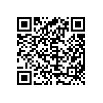 YB25WSKW01-5D24-JD QRCode