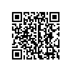 0201BW333K160NGT QRCode