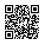 0204291 QRCode