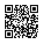 02200013DRT1P QRCode