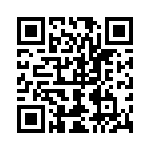 02810008H QRCode