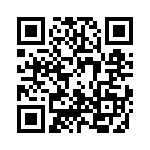 0293870-MXJ QRCode