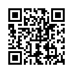 0295030-H QRCode