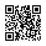 0297004-L QRCode