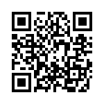 02981009ZXT QRCode