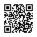 0310213300 QRCode