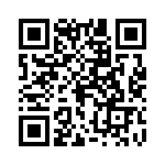 0380090602 QRCode