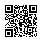 0382290204 QRCode