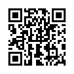 0383300704 QRCode