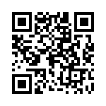 0387090428 QRCode