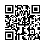 0387290497 QRCode