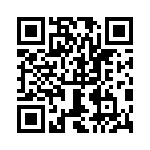 0387290541 QRCode