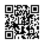 0387800304 QRCode