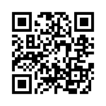 0391001311 QRCode