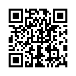 0399200704 QRCode