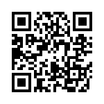 04025A1R8CAT2A QRCode