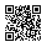 04025C202KAT2A QRCode