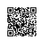 0505J0631P80DQT QRCode