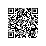 0505J250P700BQT QRCode