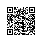 0505Y100P200HQT QRCode