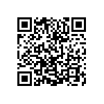 0505Y100P300HQT QRCode