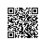 0505Y2001P30CQT QRCode