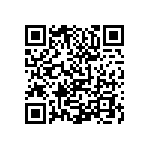 0505Y2009P10BQT QRCode