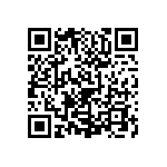 0505Y2500131KQT QRCode