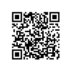 0505Y2502P00DQT QRCode