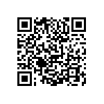 0505Y2503P60DQT QRCode