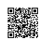 0505Y3001P80BQT QRCode