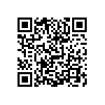 0505Y3006P80DQT QRCode