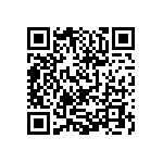 0505Y300P400DQT QRCode