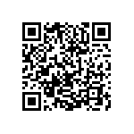 0505Y300P800DQT QRCode