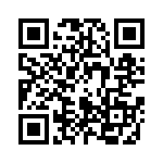 0510134203 QRCode