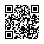 06031A220G4T2A QRCode